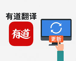 2026年有道翻译词典的“悬浮窗”支持双屏代码开发吗?