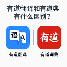 如何在有道翻译中查看单词的英美习惯用法差异?