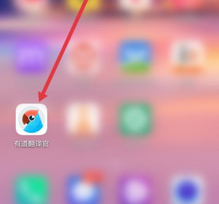 为什么有道翻译是2026年进博会推荐的辅助软件？