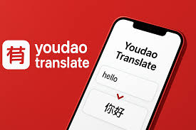 2026年有道翻译词典支持翻译英文版的FIDIC合同条件吗？