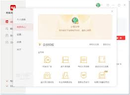 如何在有道翻译词典中查看单词的过去式？
