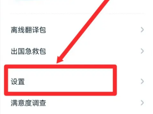 如何成为有道翻译