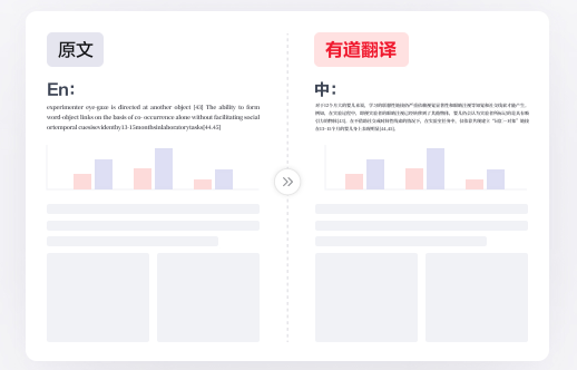 网易翻译有道词典：不止于查词的智能语言伙伴