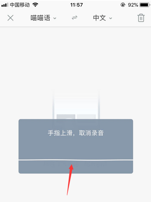 有道翻译官怎么改语音？