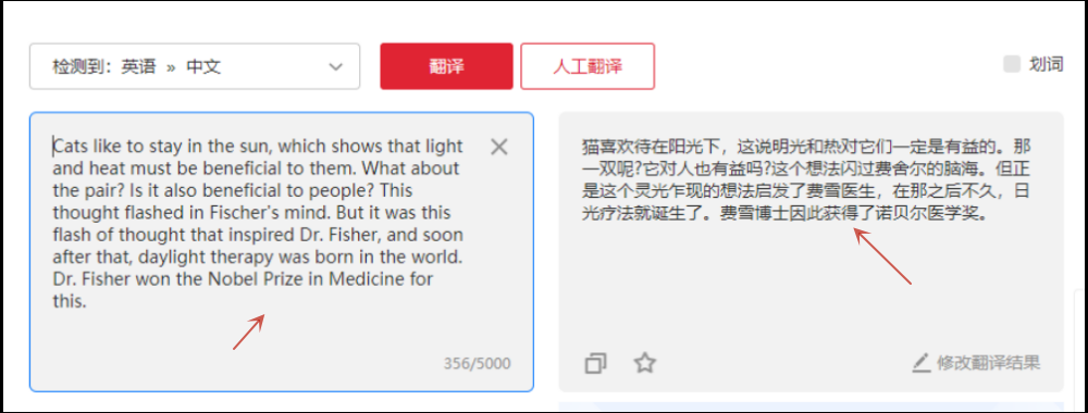 网易有道翻译怎么翻译西班牙语？2025年终极使用指南